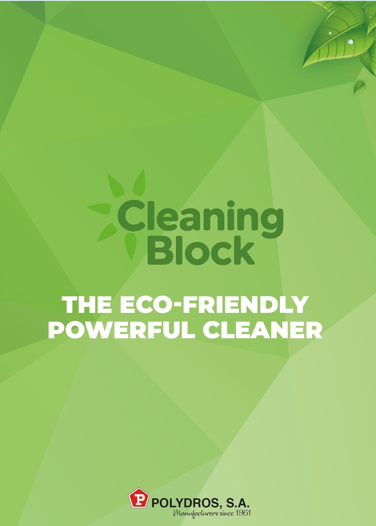 Cleaning Block catalogue